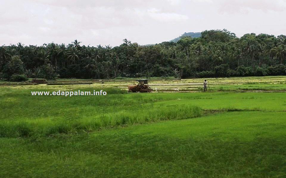 കാര്‍ഷിക സംസ്കൃതിയുടെ വീണ്ടെടുപ്പിന് വിളയൂരില്‍ കൂട്ടുകൃഷി