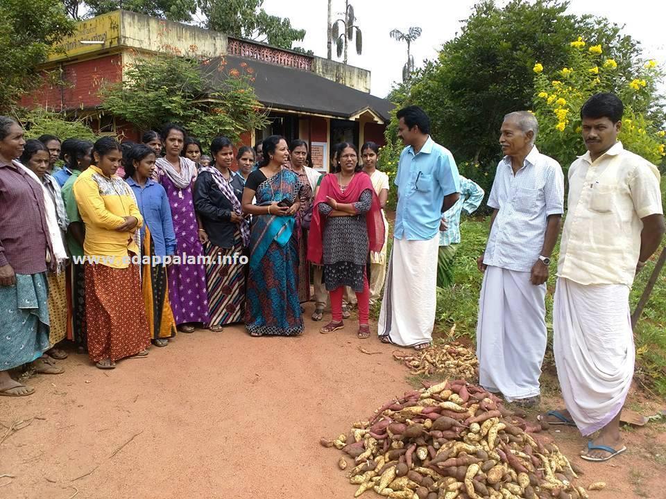 കൃഷിയില്‍ തിളങ്ങി തൊഴിലുറപ്പു വനിതകള്‍