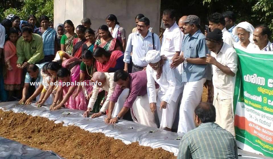ഹരിതകേരളം പദ്ധതിയുടെ പഞ്ചായത്തുതല ഉദ്ഘാടനം