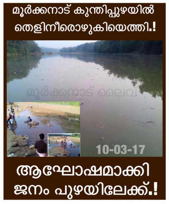 കുന്തിപ്പുഴയിൽ തെളിനീരൊഴുകിയെത്തി.! ആഘോഷമാക്കി ജനം പുഴയിലേക്ക്.!