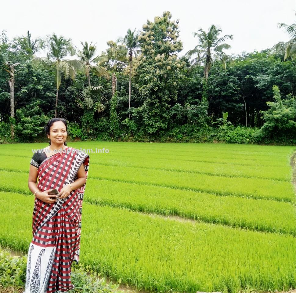 വിളയൂർ  കൃഷി ഓഫീസർ വിപി സിന്ധുവിനെ  സംസ്ഥാനത്തെ മികച്ച കൃഷി ഓഫീസറായി തിരഞ്ഞെടുത്തു