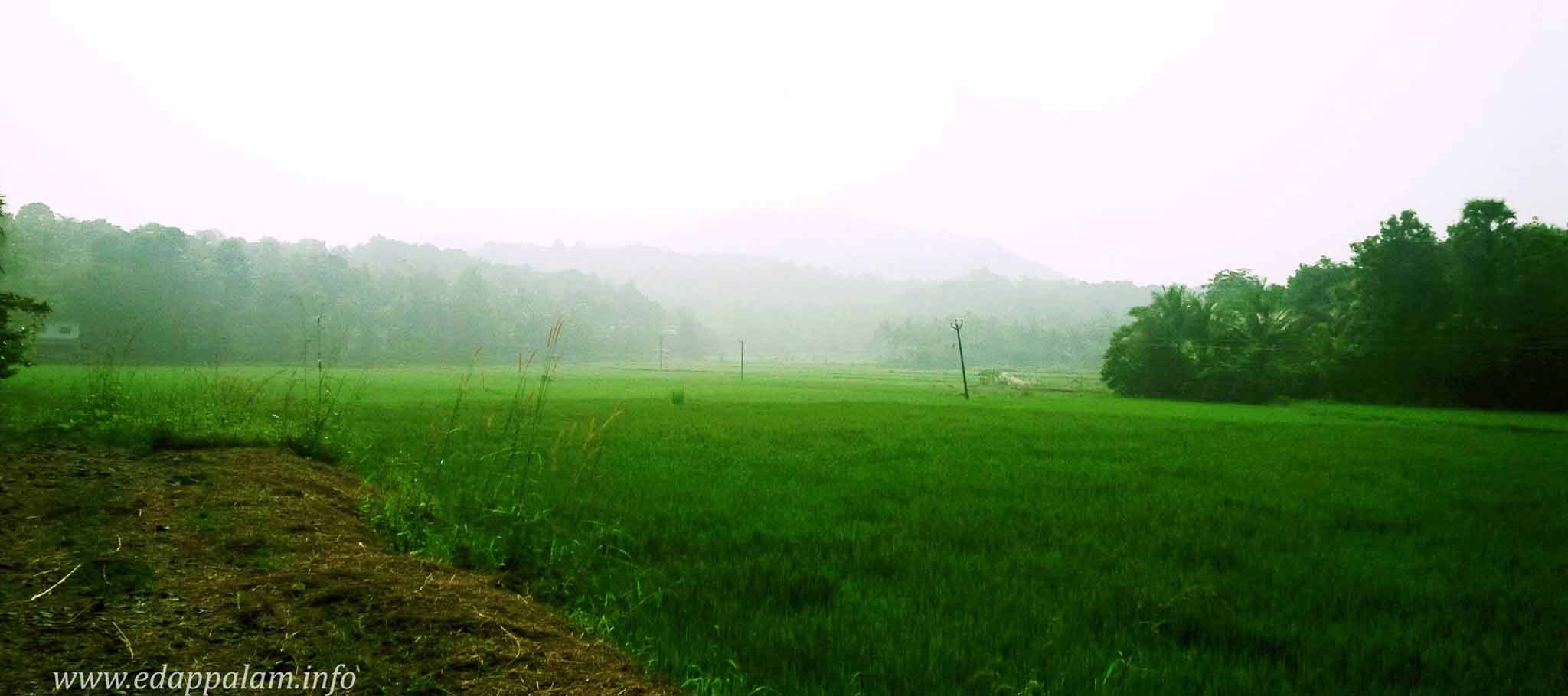 image08